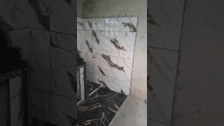 #coversong #fallow #interiordesign #reels #tilesgop #fypppppppppppppppppppppp #showkattile master