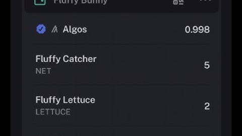 Zero Knowledge Proof -- Algorand Concepts