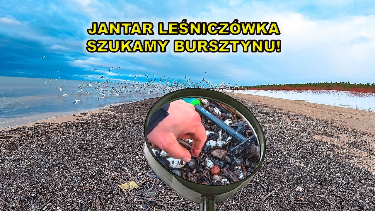 Jantar Leśniczówka - czy jest bursztyn?