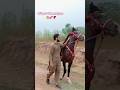 Ghora fakhra e Mirpur 🐴 || Nice walking with Mirpur 🐴👑🇵🇰 #horse #walking #mirpur #گھوڑا  #pakistan