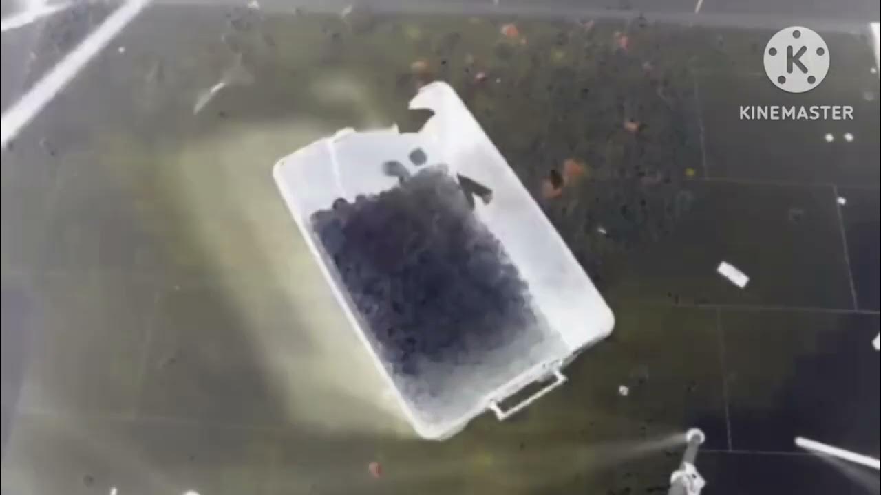 how-to-fix-a-water-damaged-laptop-in-g-major-1-youtube