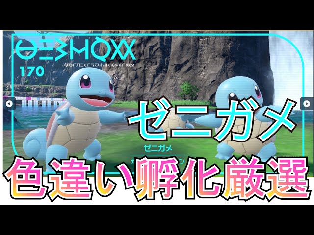 ポケモンSV】色違いゼニガメ【色違い孵化厳選(自動化)作業用】 - YouTube
