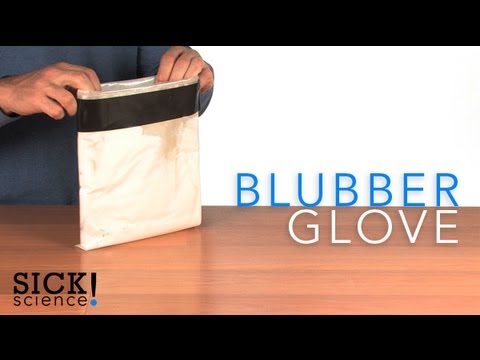 Blubber Glove - Sick Science! #092