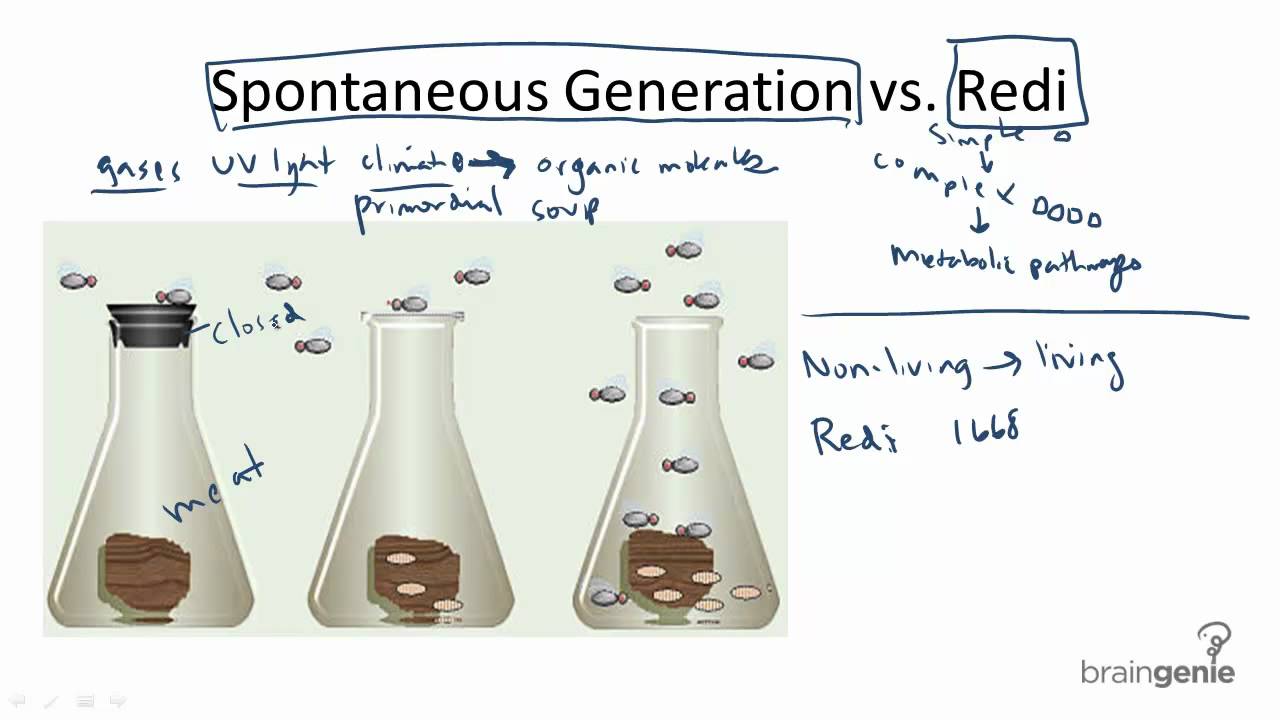 francesco redi spontaneous generation