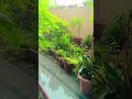 🌧️🌧️🌧️🌧️