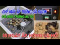 Tự Chế Máy Ấp Trứng Gà Rutin Mini | Quá trình ấp 18 Ngày Gà Rutin Nở | Timelapse cảnh gà rutin nở