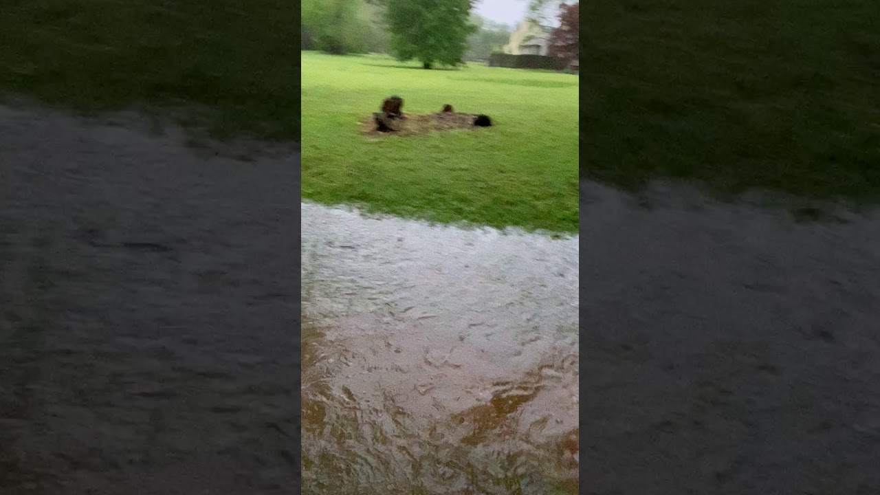 Madison, Knox Creek Flooding video 5 YouTube