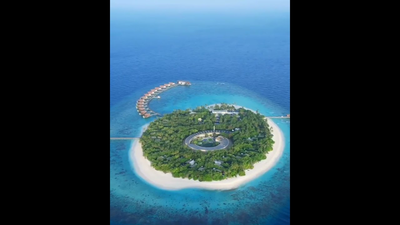 Настроение: выйти из дома и случайно улететь на Мальдивы 🇲🇻 🐠🌊🌴