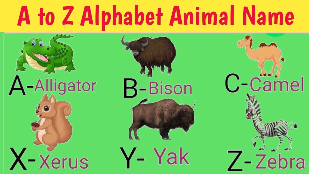 ABC Animal Song for Kids | Alphabet Animals | Learn animals and the ...