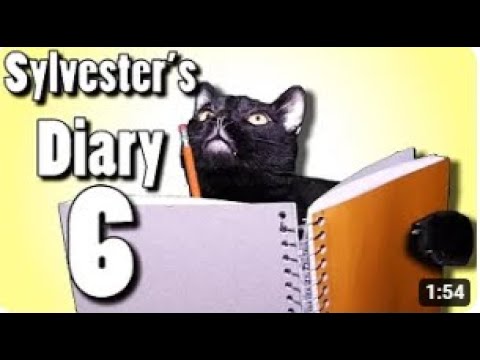 TALKING KITTY CATS - Sylvester's Diary 6, Killing Them Softly