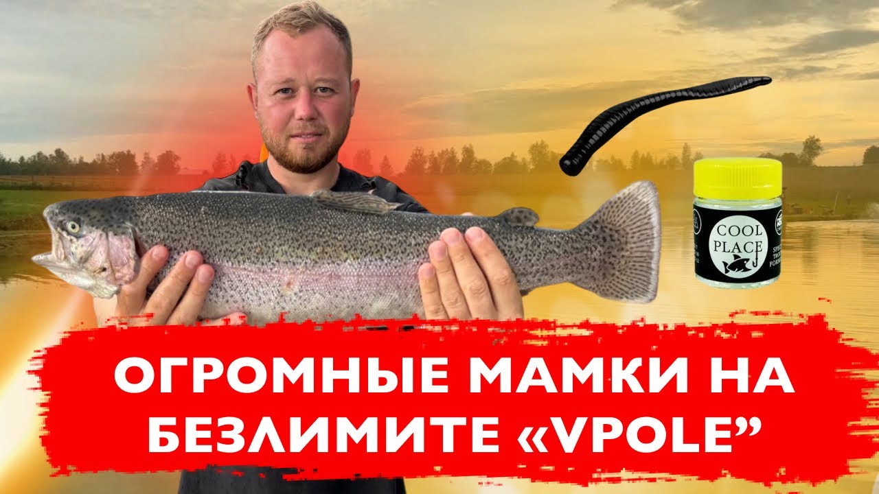 #12 ЛОВИЛ ФОРЕЛЬ ,А ПОЙМАЛ ЕГО! РЫБАЛКА НА ПЛАТНИКЕ “VPOLE”. ЧЕРНЫЙ ЦВЕТ ЛОВИТ!