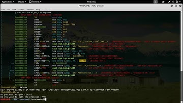 Crackme0x01 Dissected with Radare2
