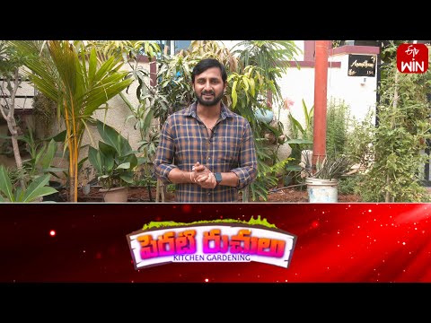 Perati Ruchulu | 5th Apr 2024 | Full Episode | ETV Abhiruchi - ETVABHIRUCHI