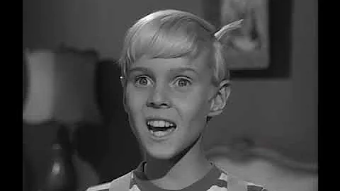 Dennis The Menace - S02E14 - Dennis' Penny Collect...
