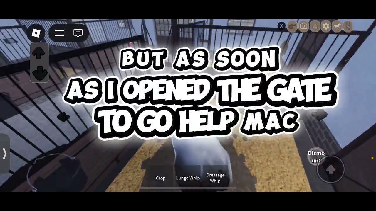 HORSE ABUSE AWARENESS 