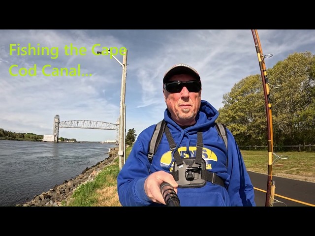 barney fishing lures STORM 4.5