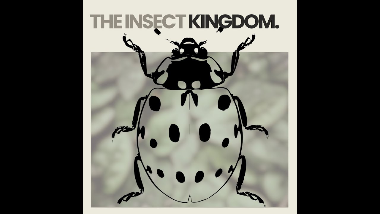 Peter J Scoma | The Cue Tube | Insect Kingdom