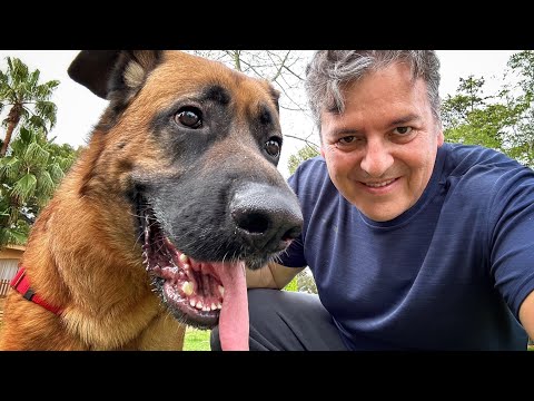 Video: Pet Scoop: Natalie Morales žvaigždės prieglaudos šunyje PSA, Naujoji pelėda randama Indonezijos saloje