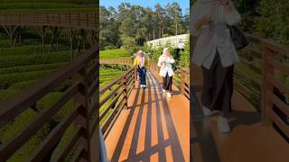 Download Lagu Akibat terlalu lama menunggu💔#ninadailytv #tiktok #viralvideo #family  #motivation MP3