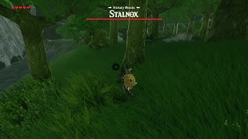 [DAY 142] of finding one korok seed everyday until Botw2 comes out