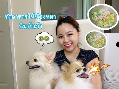 เรื่องหมาๆ : ทำอาหาร ให้ น้องหมากิน แบบง่ายๆ มีประโยชน์ | PhingPhing