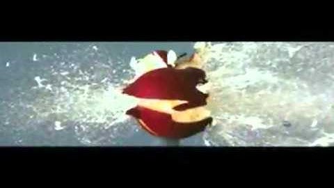 Bullet ballistics through various objects.flv