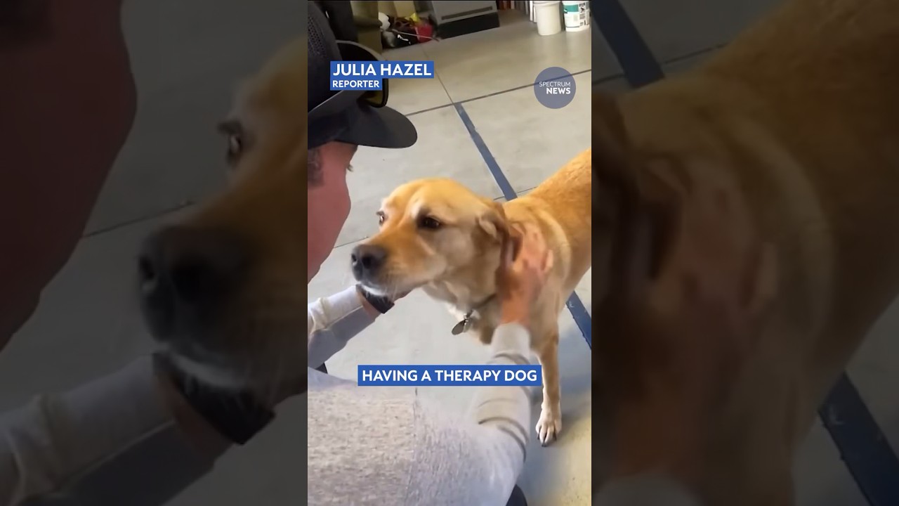 Therapy Dog Helps First Responders De-Stress on the Job 