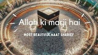 Allah Ki Marji Hai Most Popular Naat Sharief??| New Naat Sharief 2024 | Popular Naat of 2024 naat