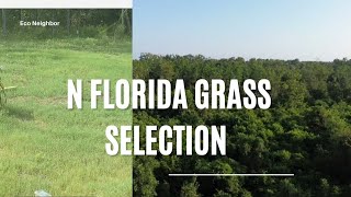 Growing Grass From Seeds Zone 8B North Florida South Georgia South Alabama S Mississippi