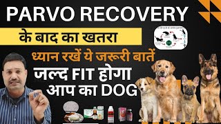 PARVO से ठीक हुए डॉग के किए बेहद जरूरी After Parvo Recovery diet,Feeding, Vaccine, Tonics,Care