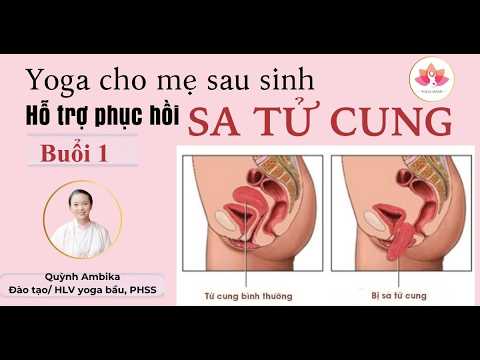 7 ngày yoga phục hồi sa tử cung