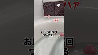 風呂浸かっててもこれ🛀｜PECO