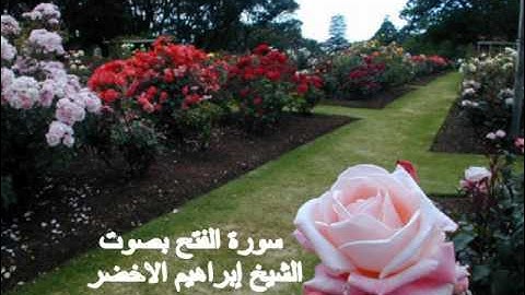 سورة الفتح بصوت الشيخ ابراهيم الاخضر