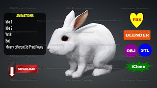 WHITE RABBIT ANIMATED 3D CHARACTER | BILAL CREATION PRODUCTION