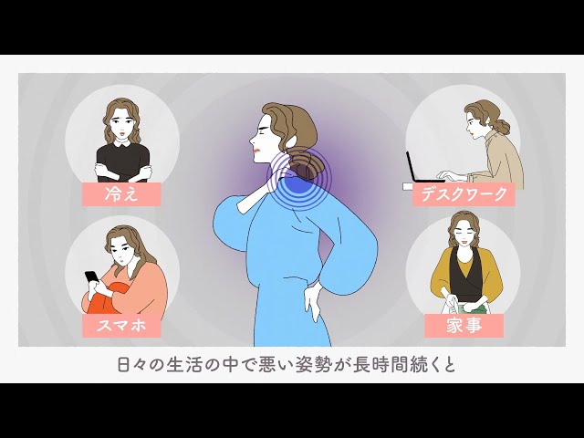 YouTube動画