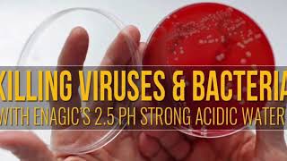 Strong Acidic Water HClO pH 2 5   Killing Bacteria The Power of ERW