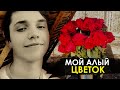 ВЛАД БАХОВ // МОЙ АЛЫЙ ЦВЕТОК