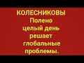 Семья Колесниковых/Обзор.