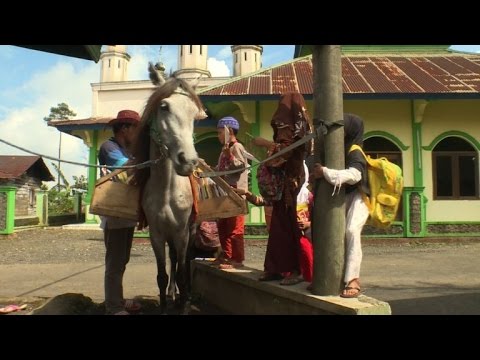 Horseback library serves Indonesia's remote readers