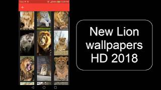 Video Lion Wallpapers and backgrounds HD 2018 App screenshot 5