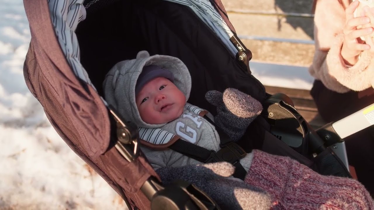 Mill Pond Winter Walk – Sunny Day of the Season