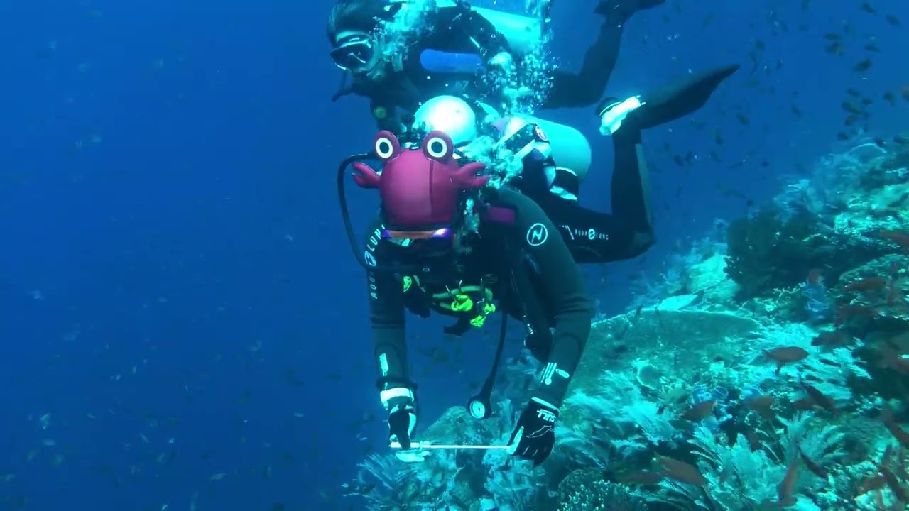 HYDRONE 3mm Red Crab Scuba Hood🤿🦀