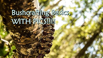 Bushcraft Basics, WITH PICTURES!! How To Make Feathersticks