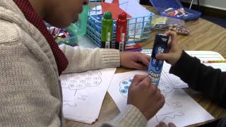 Identification of Letters and Sounds Assessment