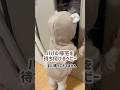 パパの帰宅を待ち侘びる1歳#shorts #赤ちゃん #baby