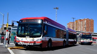 TTC Buses In Scarborough