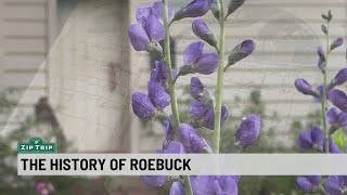 Zip Trip: History of Roebuck, South Carolina