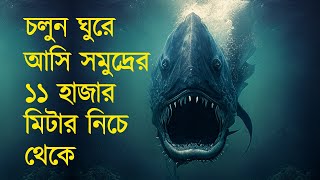 সমুদ্রের নিচে কী আছে? | What is deep below the ocean? screenshot 5