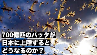 【襲来】700億匹のサバクトビバッタが日本に上陸するとどうなるのか？