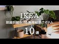 【IKEA】おしゃれでコスパのいいおすすめ観葉植物アイテム10選｜鉢カバー・スタンドなど
